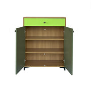 Monza Shoe Rack ( Elegant Teak & Green )