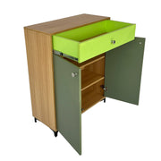Monza Shoe Rack ( Elegant Teak & Green )
